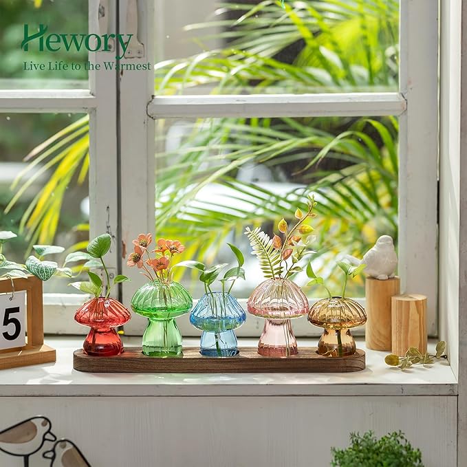 Terrarium Set of 5 Mushroom Glass Propagation Vases with Wooden Tray