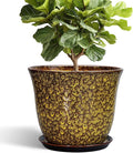 12 Inch Plant Pot - Ceramic Pots for Plants with Drainage Hole and Saucer, Round Planter for Indoor Outdoor, Large Flower Pots, Modern Planter, Patio House Decor, Plant Lovers Gifts, Yellow