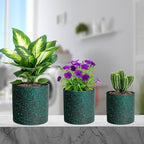 6/5/4 inch Plant Pots, 3 Pack Cylinder Flower Pots for Small Indoor Outdoor Plants, Plastic Planters with Drainage Holes and Saucers for Garden Succulent Plants, Black with Green Speckles