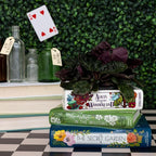 Steel Mill & Co Original Small Book-Shaped Decorative Planter, Ceramic Planter for Home Decor, Cute Bookshelf Accent, Unique Planter for Book Lovers, Alice/Wind in the Willows/Secret Garden