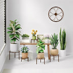 5 Pack Heavy Duty Rustproof Iron Corner Flower Pot Stand Holder,Round Supports Display Rack Tiered Plant Stand, Pot Rack Shelf Indoor Multiple Plants
