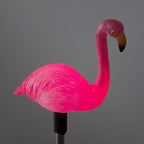 Solar Garden Stake Lights with Color Changing LED or Regular White LED Landscape Path Lights (Set of 2) (Flamingo)