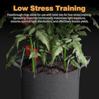 Self-Watering Grow Bags, 5-Pack 10 Gallon 420G Thick Nonwoven Fabric Pots with Reinforced Handles and Multi-Purpose Rings, for Low Stress Plant Training Fruits, Vegetables,and Flowers
