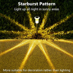 DenicMic Solar Lights Outdoor 10 Pack Waterproof 3000K Warm White LED Stainless Steel Stake Outside Lights for Yard Pathway Garden Driveway Walkway Landscape Path Lighting