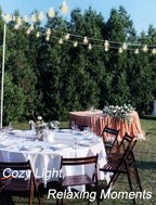 String Lights: 25 ft G40 LED Globe Bulbs in Warm White for Outdoor Use