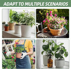 17.5 Inch Plant Trellis Indoor for Climbing Plants,Metal Trellis,Small Garden Trellis for Potted Plants,Plant Stakes for Indoor Plants Accessories Hoya,Flower,Plant Support,Plant Gifts(Circular-Metal)