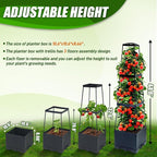 2 Packs Raised Garden Bed Tomato Planter Box with Trellis,44.8" Self-Watering Tomato Cage with Trapezoidal Trellis for Climbing Plants Flowers Vegetables Vine in Patio Garden Indoor Outdoor