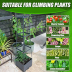 2 Packs Raised Garden Bed Tomato Planter Box with Trellis,56.8" Self-Watering Tomato Cage with Trapezoidal Trellis for Climbing Plants Flowers Vegetables Vine in Patio Garden Indoor Outdoor