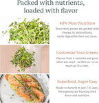 GARDYN Complete Microgreens Growing Kit - Indoor Herb Garden - Indoor Hydroponics Growing System Kit Nursery Seed Starter Tray, 20 Seed Pads, Bamboo Wicks,10 Grow Plates