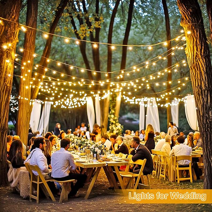 String Lights 272 Ft 1000 Warm White LEDs with Remote and 8 Modes