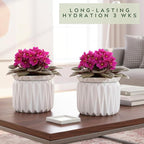 6 Inch African Violet Pots Self Watering, Ceramic Planter with Water Reservoir and Fill Lines, 4 Inch Opening, Indoor Flower Pot, Holds 3 Weeks of Water (2 Pack White)