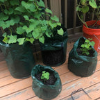 JJGoo 2 Pack 10 Gallon Garden Potato Grow Bags with Flap and Handles Aeration Fabric Planter Pots, Heavy Duty Potato Planters Garden Planting Bags for Onion, Fruits, Tomato, Carrot (Green)