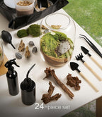 Terrarium Jar Set with Grow Light and Tools for Succulents