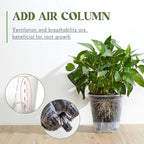 Self Watering Pots for Indoor Plants with Deep Reservoir and High Drainage Holes for Outdoor Plants and Flowers, Bare Root Planter(5.91'',Clear,9 Pcs)