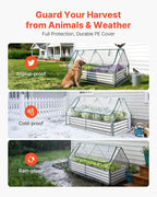 VEVOR 6x3x1FT Metal Raised Garden Bed with Greenhouse Cover, Outdoor Galvanized Planter Raised Beds for Gardening for Vegetables Flowers and Fruit