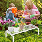 1 Tier Metal Plant Stand Indoor Outdoor, Potted Multiple Flower Pot Holder Rack Plant Shelf, Heavy Duty Planter Display Shelving for Patio Balcony Garden Living Room Decorative (White)