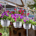 Roshtia 50 Pcs 5.9 inch Plastic Hanging Plant Pots with Hooks Flower Pots Baskets Outdoor Hanging Nursery Planter Holder for Home Garden Balcony Porch(Gray White, 5.9 inch)