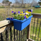 Apollo Exports International 20" Adjustable Railing Planter, Blue