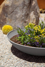 Veradek Mason Series Lane Bowl Planter| for Indoor or Outdoor Tabletops/Gardens |Made from Plastic-Stone Composite with Drainage Holes|Modern Décor for Flowers, Succulents, Small Plants