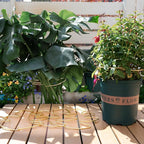 5PCS Durable Monstera Plant Stem Support Stake with Adjustable Leaf Holders - Plant Support Kit for Indoor Botanicals, Cactus Stabilizers, and Turtle Shell Climbers - Ideal for Plant Enthusiasts