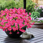Artificial Flowers for Outdoors, UV Resistant Fake Silk Morning Glory, Realistic Faux Plants for Outside Porch Patio Window Box Hanging Planter (16, Hot Pink)