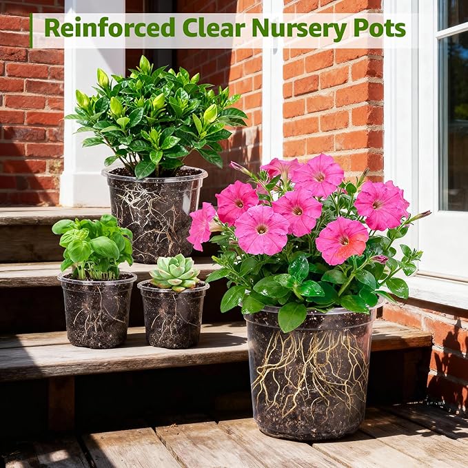 MIXC Clear Nursery Pots with Drainage Holes, 5/4/3.5 Inch Reinforced Transparent Plastic Seed Starter Pots, for Indoor Outdoor Gardening Seedling Planter, 30 Pack