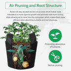 JERIA 12-Pack 25 Gallon Grow Bags, 300G Thickened Nonwoven Garden Pots,Heavy Duty Fabric Pots with Reinforced Handles