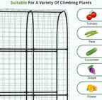 DoCred 3 in 1 Raised Garden Bed with 87in Tall Arch Trellis for Climbing Plants, Galvanized Planter Garden Box Outdoor for Gardening, Climbing Vegetables, Flower, Black