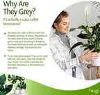 Stackable Plant Support Stakes, Indoor & Outdoor Houseplant Stem Support, Garden Accessories, Durable Trellis Alternative for Climbing & Potted Plants - Moonstone, 10 Pack, 17" L