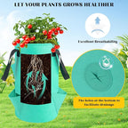5 Pack Upside Down Strawberry Hanging Planter, 3 Gallon Tomato Hanging Grow Bags with 5 Hooks, Hanging Tomato Strawberry Grow Planters Vegetable Planting Bags with 6 Planting Holes for House Garden