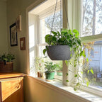 T4U Hanging Planters for Indoor Plants, 10 Inch Hanging Planter Outdoor 2 Pack, Hanging Basket with Drainage Holes, Hanging Plant Holder Indoor, Flower Pots, Plant Pots for Garden, Grey