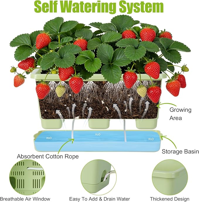 Window Box Planter 6 Packs, 13.8 Inches Rectangle Flower Pots with Drainage Holes & Trays, Pots for Vegetables, Herbs, Flowers, Garden Windowsill Balcony (Green)