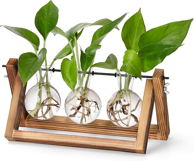 Terrarium Propagation Station with 3 Glass Bulb Vases and Brown Wood Stand