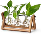 Terrarium Propagation Station with 3 Glass Bulb Vases and Brown Wood Stand