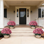 2 Pack Artificial Geranium Flowers Topitary Trees for Outdoors, UV Resistant Geraniums Potted Bushes Look Real Silk Faux Plants for Front Door Garden Porch Planter Farmhouse Home Decor (Peach Red)
