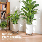 Bamworld14 Inch Wood Plant Caddy with Wheels – Heavy-Duty Plant Dolly with 240 Lbs Capacity, 360° Lockable Wheels for Large Plant Pots, Heavy Objects, Ideal for Indoor and Outdoor Use 2-Pack