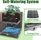 Raised Garden Bed with Tomato Planter Cage,50.4" Self Watering Tomato Planter with Plastic Coating Steel Pipe for Climbing Vine Flowers Outdoor, Tomatoes Cage with Trellis Wheels, 1Pack