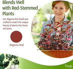 Plant Support Stakes for Indoor & Outdoor Use, Durable Trellis Alternative for Climbing & Potted Plants, Houseplant Stem Holder Structures - Begonia Red, 10 Pack, 22" L, Original