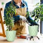 6 Pack 7 Inch Indoor Plant Pots with Drainage Holes, Outdoor Plastic Decorative Flower Pots, Garden Planters with Tray Saucers for Orchids, Violets, Succulents, Herbs, and Other Plants