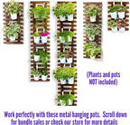 ShopLaLa Large Hanging Wall Planters for Indoor Plants - 5 Pack Wooden Wall Decor Bathroom Decorations Living Room Home Plant Shelves Vertical Garden Huge Unique Farmhouse Vintage Rustic 5 Sizes
