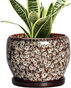 SQOWL Ceramic Plant Pots - 6 Inch Ceramic Planter for Indoor Outdoor, Small Flower Pots with Drainage Hole and Saucer, Decorative Round Planter, Home Office Decor, Plant Lover Gifts, White