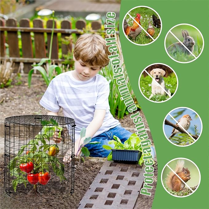 Plant Protector Cages with Removable Covers, Black, 5 Sets