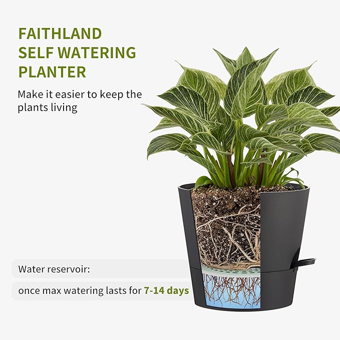 FaithLand 2-Pack 10 Inch Planter Pots for Indoor Outdoor Plants, Self Watering Flower Pots with Deep Reservoir, Black …