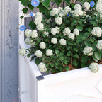 Outsunny Planter Box with Trellis, 35.4 x 15.7 x 47.2 inch Raised Garden Bed with Drainage Holes, Planters for Outdoor Plants, Vegetables, Flowers, Herbs, Trellis Planter, White