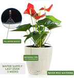 Dexceder 15x14 Self Watering Planter with Wheels Indoor Outdoor, Inner Pot Design, Thickened Large Floor Standing Flower Plant Pot with Water Level Indicator (White Gold Crackle)