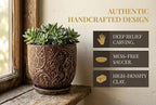Decorative Ceramic Planter Pot with Saucer, Brown with Gold and Silver Owl Pattern, Indoor Garden Container with Drainage (G&S, 6 inch)