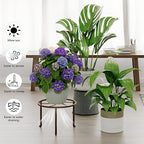 5 PackHeavy Duty Rack for Planter,Anti-Rust Flower Pot Stand Holder for Multiple Plants,Potted Plant Shelf for Living Room, Balcony, Garden, Patio