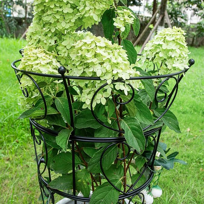 Obelisk Trellis for Peonies, Black Metal Heart Cage, 24.6 x 17 Inch