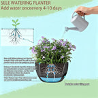 Set of 2-8 Inch Self Watering Hanging Planters for Indoor Outdoor，Hanging Plant Pots with Drainage & Removable Tray, Hanging Pots Holder for Ivy, Pothos, Ferns, Balcony & Patio, Black