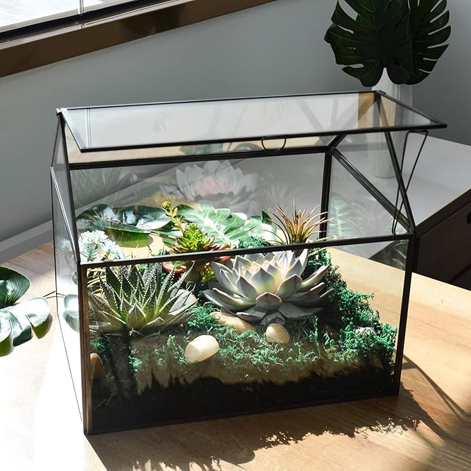 Terrarium Black House-Shaped Glass Planter with Swing Lid, Large